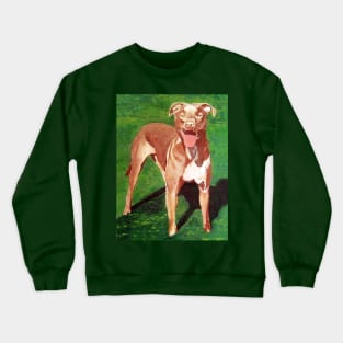 Pit Bull Terrier Dog Crewneck Sweatshirt